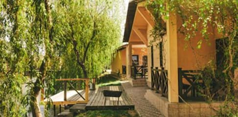 Нетипова Одещина